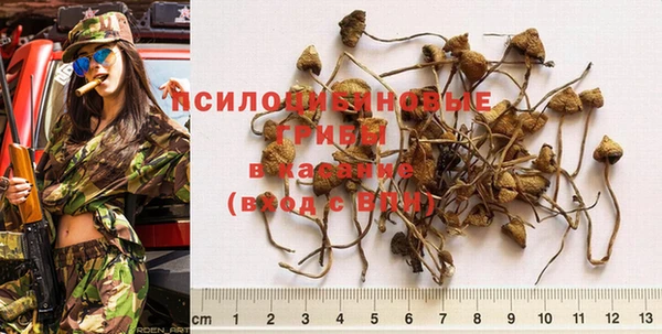 ПСИЛОЦИБИНОВЫЕ ГРИБЫ Алексин