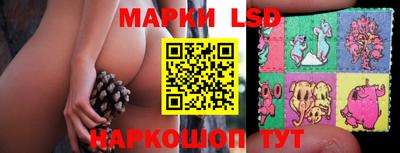 спайс Моздок