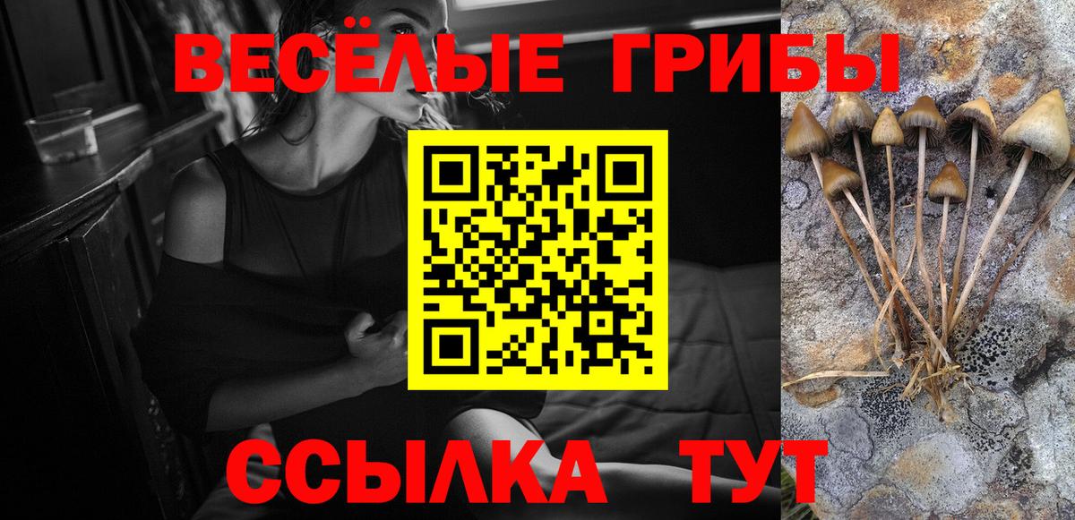 Галлюциногенные грибы GOLDEN TEACHER  Вход с VPN  Шатура 